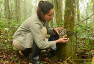 A Woman Found A Trail Camera On Her Property, So She Took It Down And Looked At The Photos On The Memory Card
