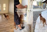 Rescue Dog Explores Her New Home With a Backyard for the First Time