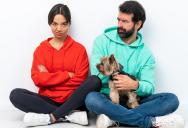 The Ultimate Relationship Red Flag: Boyfriend Claims Full Ownership of Shared Pet Just Because He Swiped His Credit Card