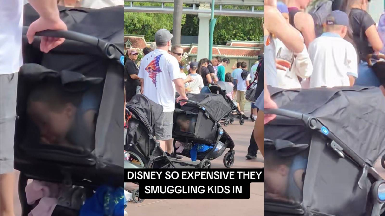 Smuggling the Mouse: How Two Parents Bypassed Disney Admission Fees and Landed in Hot Water with Park Security family at disney land