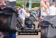 Smuggling the Mouse: How Two Parents Bypassed Disney Admission Fees and Landed in Hot Water with Park Security