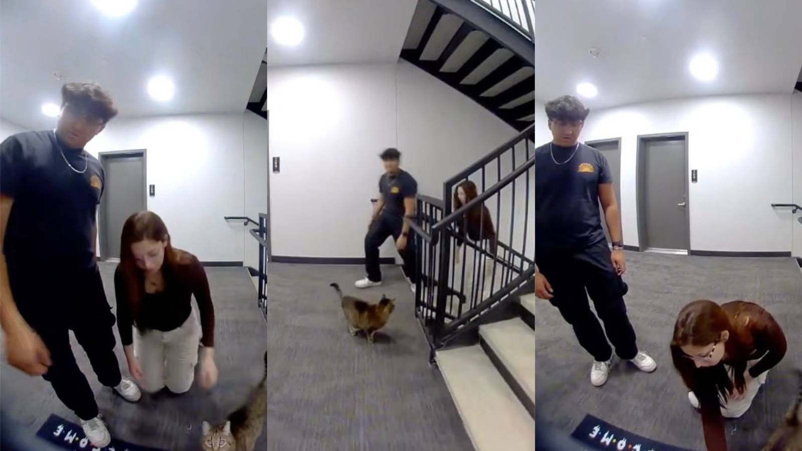 A Cat Got Out of His Apartment and Led Some Strangers Back to His House people with a cat