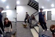 A Cat Got Out of His Apartment and Led Some Strangers Back to His House