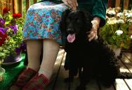 A Family Situation Escalates After a Sick Dog Is Left Behind During a Move