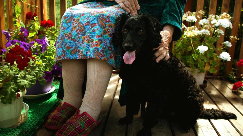 elderly woman and a dog