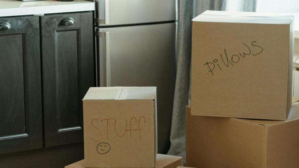 labeled storage boxes