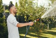 HOA Hopeful Harasses Neighbor Over Yard, Then Faces Unexpected Lawn Revenge