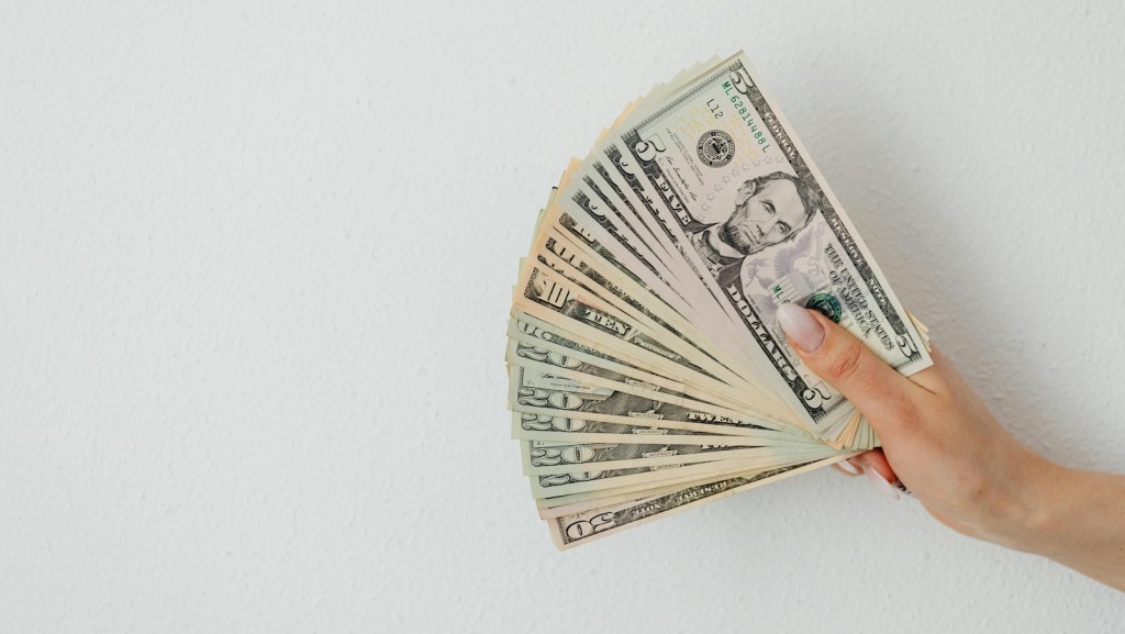 person holding several dollar bills