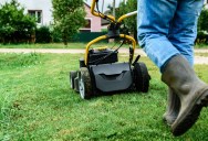 Landlord Tells Tenants They Are Responsible For Mowing The Lawn, But Disagree On The Definition Of “Lawn”