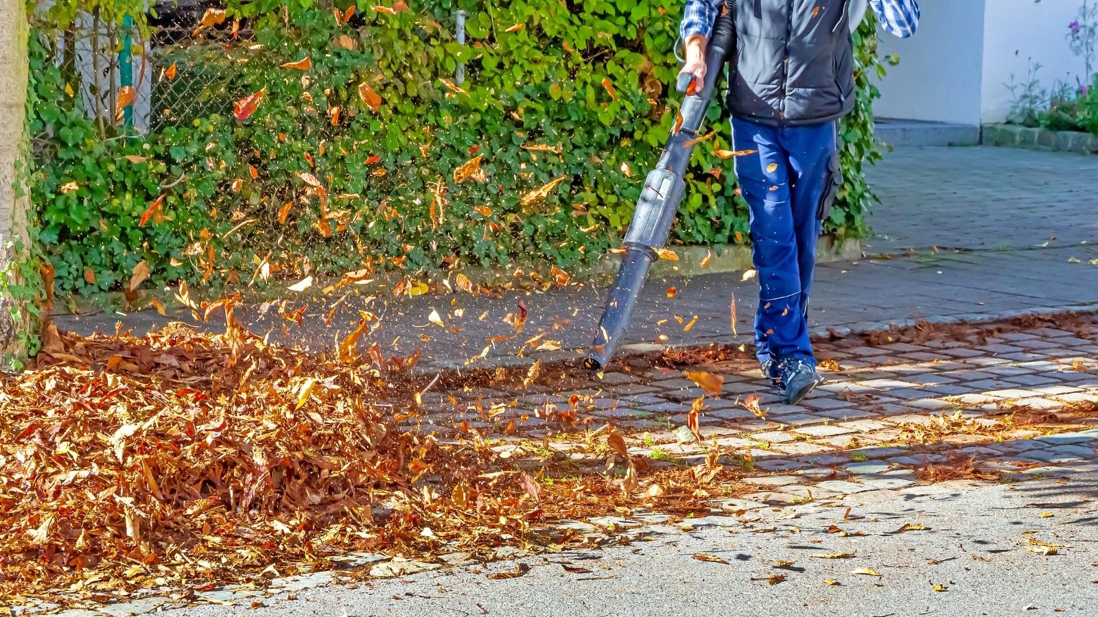 Neighbor Kept Blowing Leaves Into Her Yard, so She Sent Them Back With a Message man blowing leaves in street