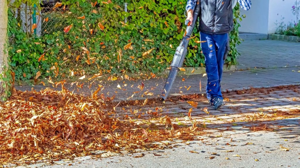 man blowing leaves in street