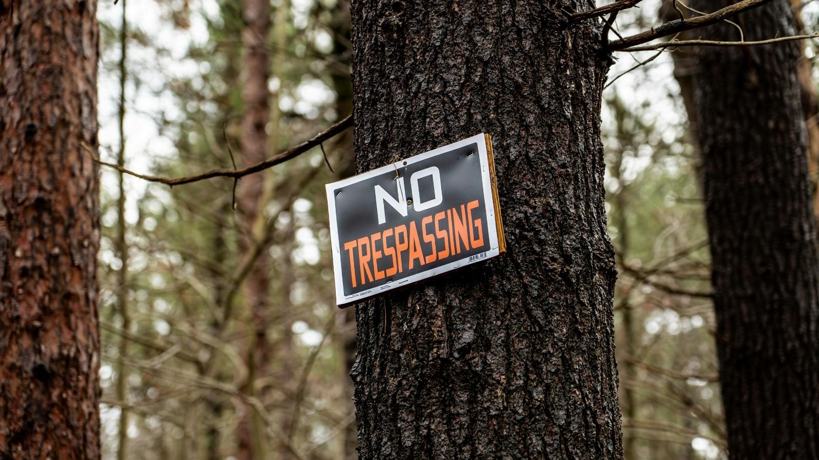 Friendly Conversations Didn’t Work, so One Renter Took a More Direct Approach With Neighborhood Parents no trespassing sign on tree