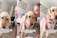 Rescue Dog’s Heartwarming Reaction to Her First-Ever Kiss From Foster Mom Goes Viral