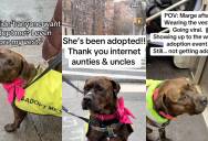 Overlooked Dog Finally Finds Forever Home After Long Wait in Shelter