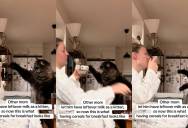 A Morning Cereal Routine Turned Into a Daily Demand From One Very Persistent Cat