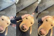 A Man Called His Girlfriend A “Drama Queen,” But His Behavior Changed After They Got A Dog