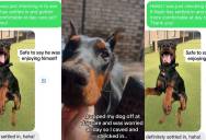 Anxious Owner Worries About Leaving Her Dog at Daycare—Then a Hilarious Text Changes Everything