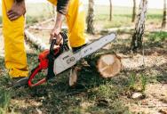 ‘If I Can’t Sleep, No One Can’: Why This Woman’s Morning Yard Work Is Sparking a Major Neighborhood Feud