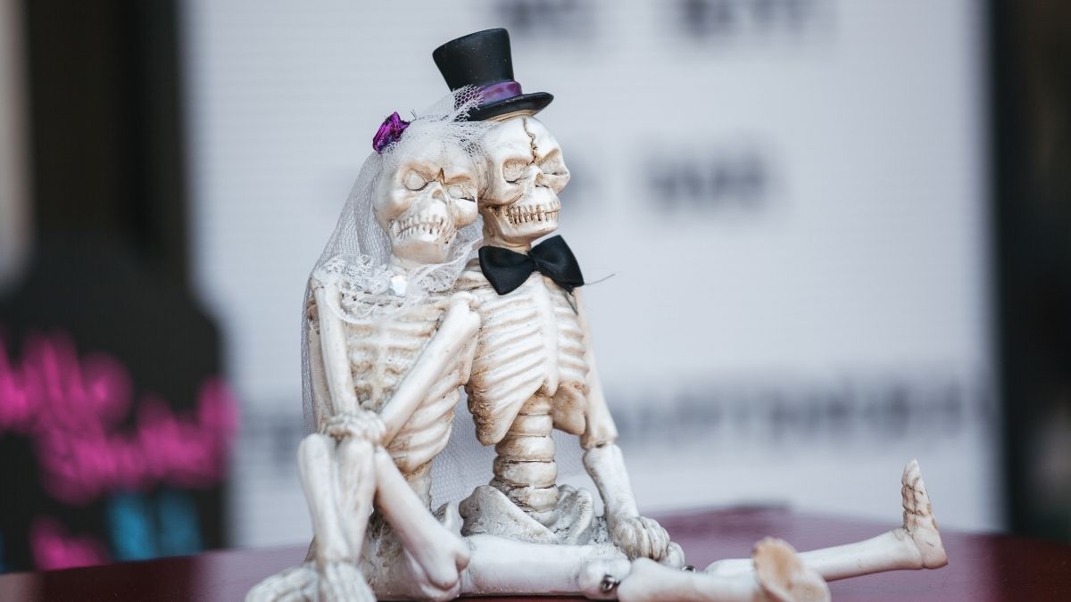 skeleton bride and groom