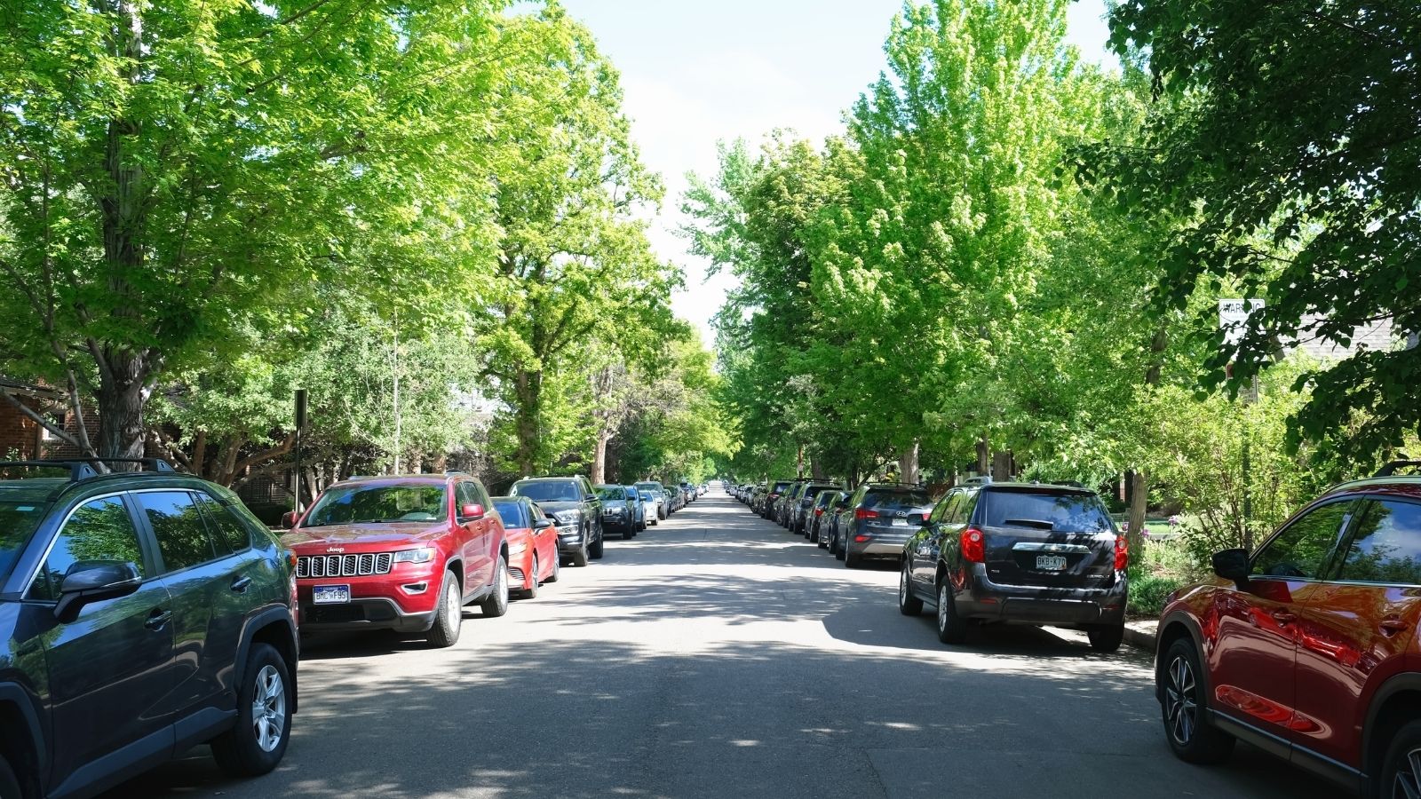 cars parked on neighborhood street