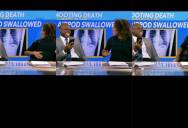 A Workplace Interaction Left a Pregnant News Anchor and Her Co-Worker Laughing On-Air