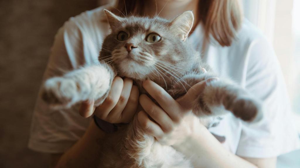woman holding up a cat