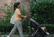 Mother’s Daily Walk With Toddlers Keeps Triggering Neighbor’s Dog, Leading to Growing Tension