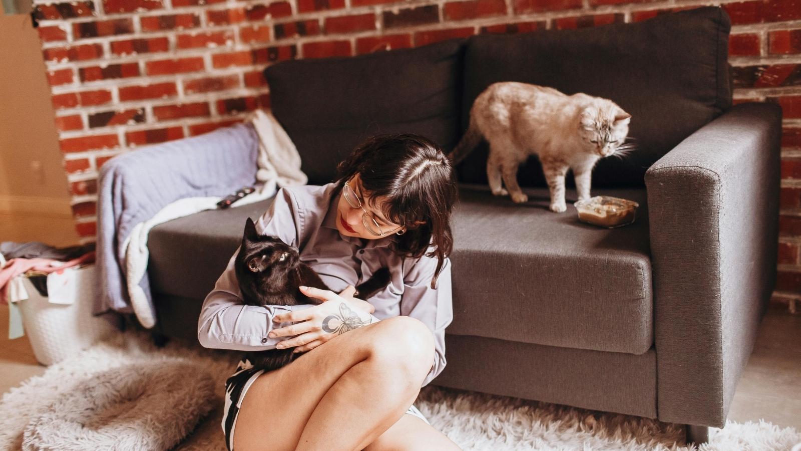 woman surrounded by cats