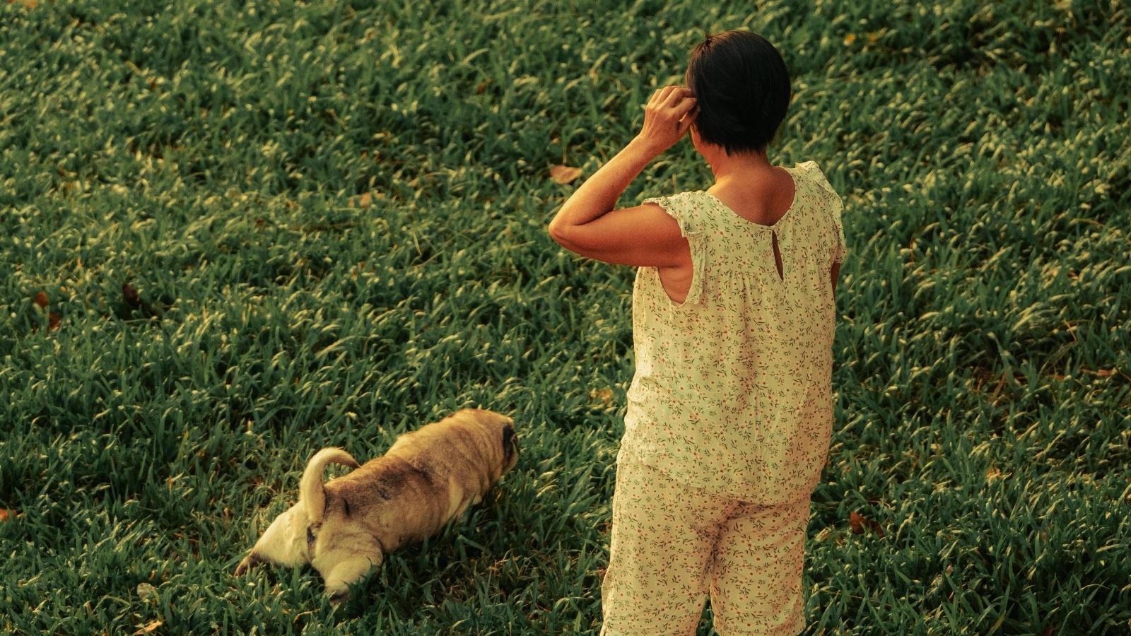 A Dog Waste Dispute Between Neighbors Took an Unexpected Turn After Weeks of Ignored Complaints woman watching her dog on the grass