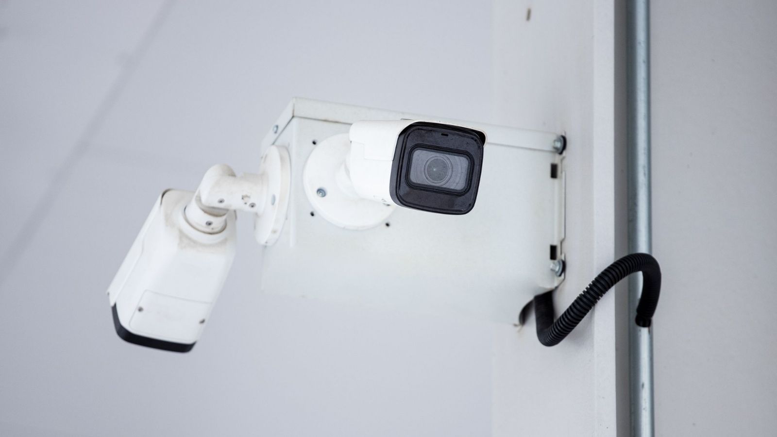 Store Worker Responds to Night Intruder Alert, but the Culprit Is Unexpected A CCTV camera