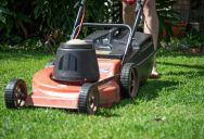 “You’re Pricing Yourself Out!”: Homeowner Shuts Down a Local Lawn Kid’s Outrageous Price Hike—And Hires a Professional Instead