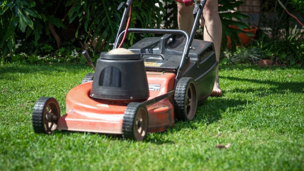 A person mowing a lawn