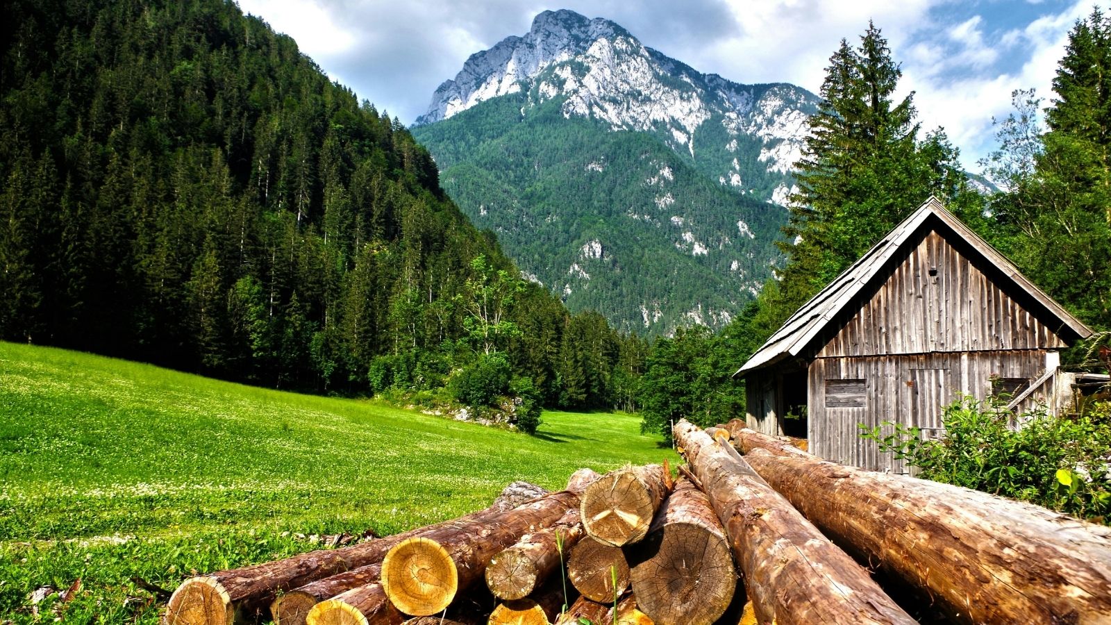 A cabin and a mountain