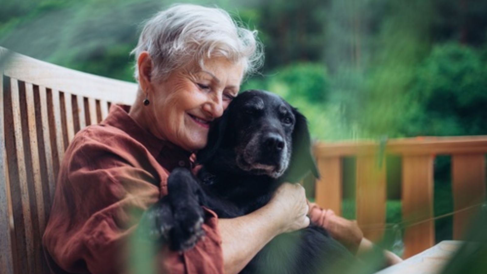 Woman Moving Out Faces Unexpected Dispute After Mother in Law Says She Wants to Keep Her Dog Older woman and dog