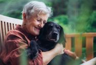Woman Moving Out Faces Unexpected Dispute After Mother-in-Law Says She Wants to Keep Her Dog