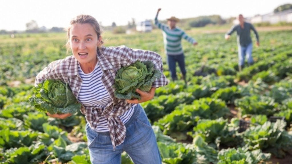 Woman stealing vegetables