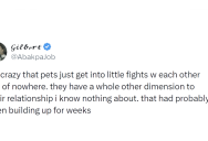 The Shirk Report – Volume 900 – July 9
