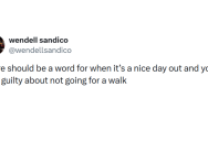 The Shirk Report – Volume 897 – June 18