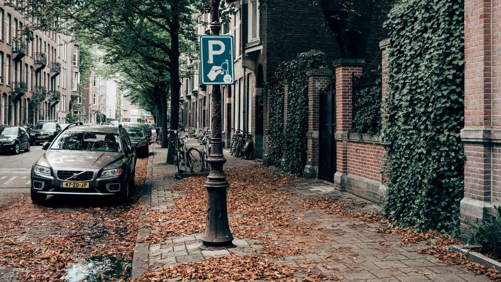 Cars parked in on-street parking spots
