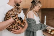 The Ultimate Pet Custody Nightmare: Woman Sparks Bitter War by Demanding the Return of an Aging Cat She Abandoned Half a Decade Ago