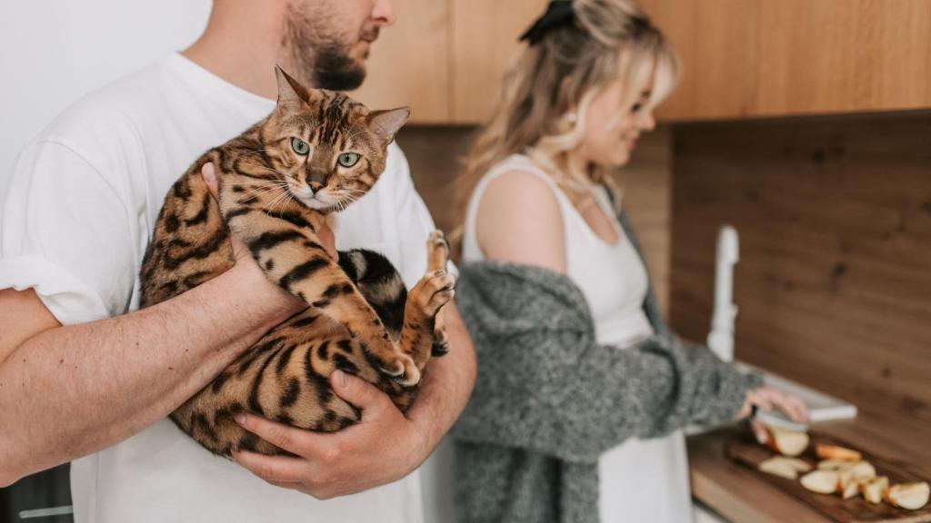Man and woman in kitchen with their cat