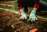 A Landlord Demanded a Military Spouse Move Her Garden Into the Ground—So She Unleashed an Incurable Botanical Nightmare