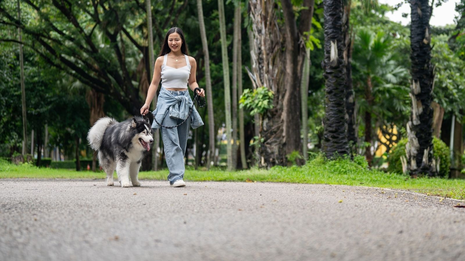 ‘Get Off My Property!’: Sidewalk Less Neighborhood Explodes Over Responsible Dog Owner’s Cleanup woman taking her dog for a walk
