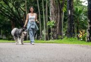 ‘Get Off My Property!’: Sidewalk-Less Neighborhood Explodes Over Responsible Dog Owner’s Cleanup