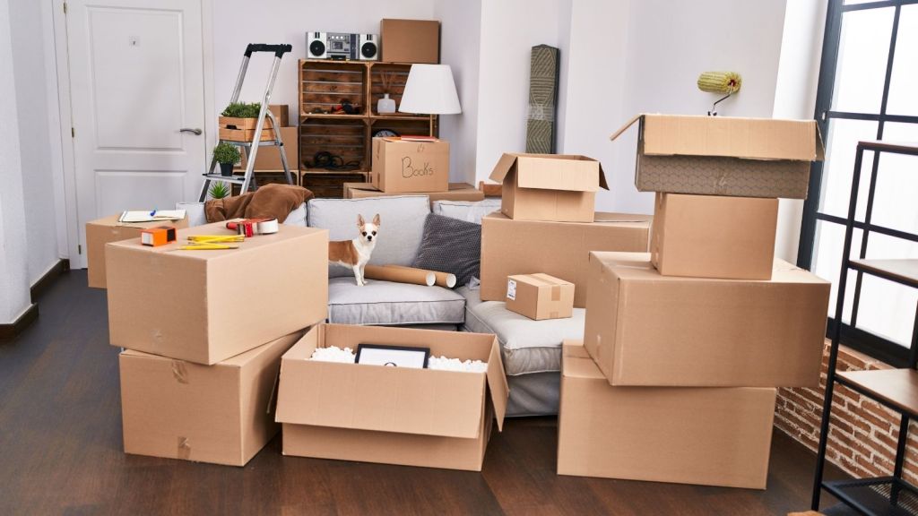 stack of moving boxes in an apartment