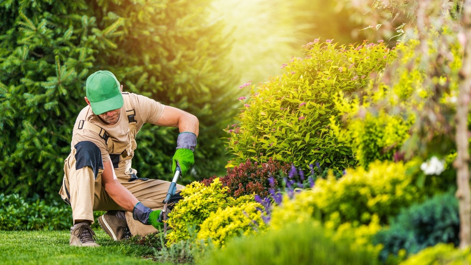 Woman Inherits Uncle’s HOA Home, but HOA Turns Against Her After Dispute With Gardener gardener trimming bushes