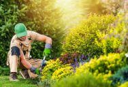 Woman Inherits Uncle’s HOA Home, but HOA Turns Against Her After Dispute With Gardener