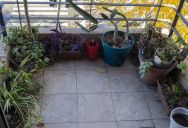 Roommates Moved Out and Left Their Terrace Trashed — Now Their Landlord Is Furious