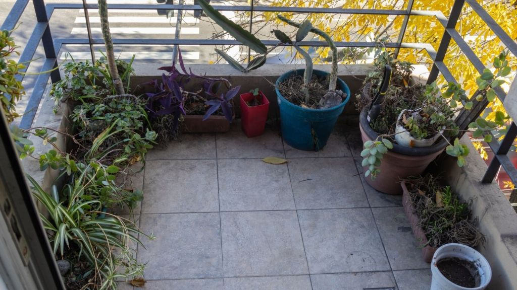 messy balcony filled with potted plants