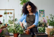 A Woman’s Dream Of Starting A Plant Business Creates Unexpected Strain In Her Marriage